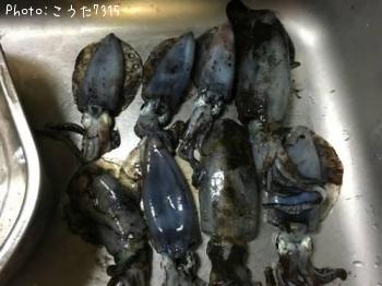 �����ꥤ��