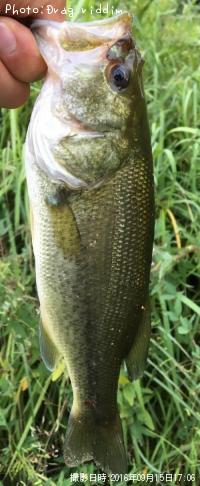 ¥Ö¥é¥Ã¥¯¥Ð¥¹