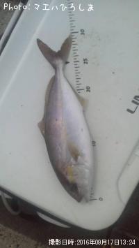 �����ӥ�