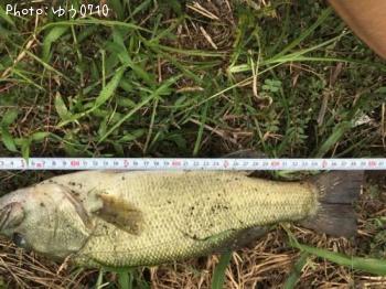 �֥�å��Х�