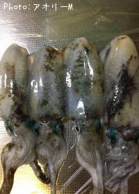 �����ꥤ��