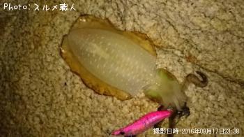 �����ꥤ��