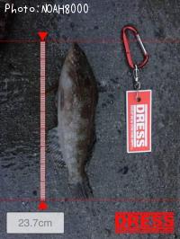 �����ʥ�