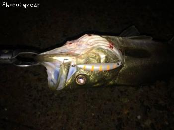 �����Х�