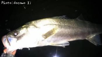 �����Х�