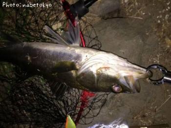 �����Х�