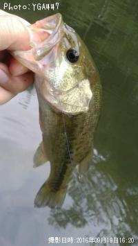 ¥Ö¥é¥Ã¥¯¥Ð¥¹