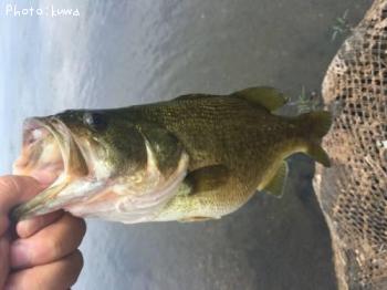 �֥�å��Х�