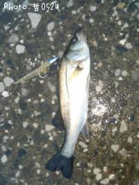 �����Х�