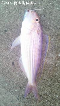 ���ȥ�����