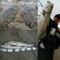 �ҥ�ᡡ�����Х�