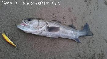 �����Х�