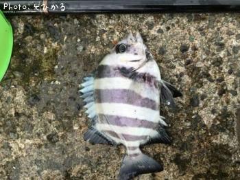 ¥µ¥ó¥Ð¥½¥¦