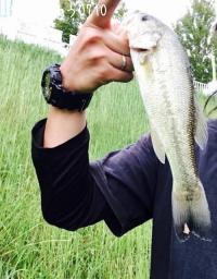 ¥Ö¥é¥Ã¥¯¥Ð¥¹