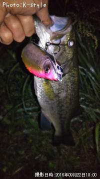 ¥Ö¥é¥Ã¥¯¥Ð¥¹