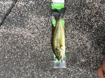 �֥�å��Х�