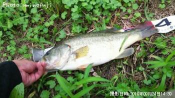 �֥�å��Х�