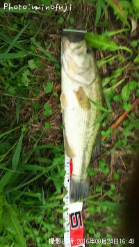 �֥�å��Х�