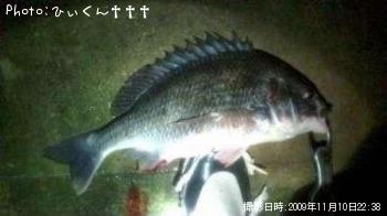¥¥Ó¥ì
