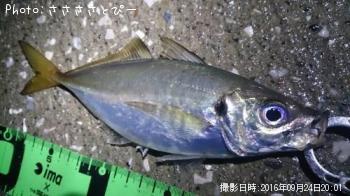 ��������Х�������Х�