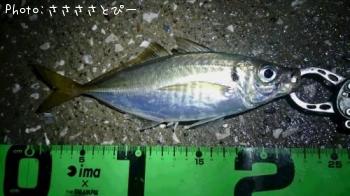 ��������Х�������Х�