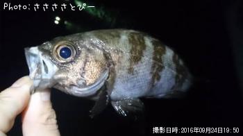 ��������Х�������Х�