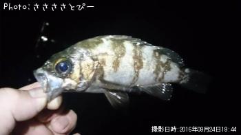 ��������Х�������Х�