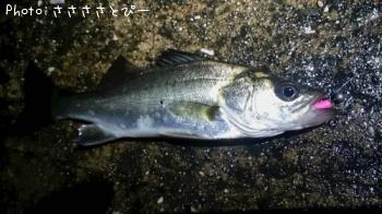 ��������Х�������Х�