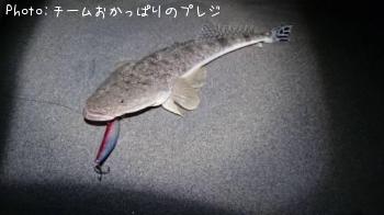 �ޥ���