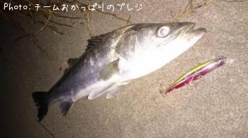 �����Х�