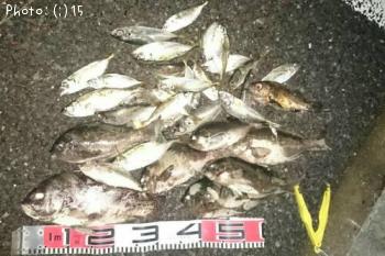 �����祦�������᥸�ʡ���������Ф�