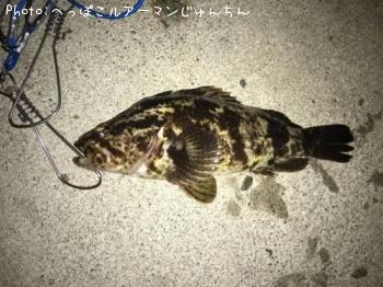 �����Υ���Х�