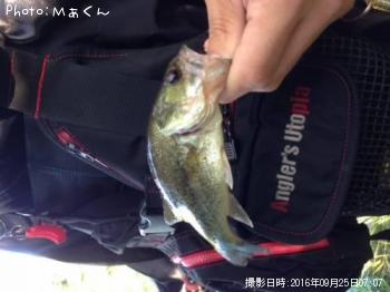 �֥�å��Х�