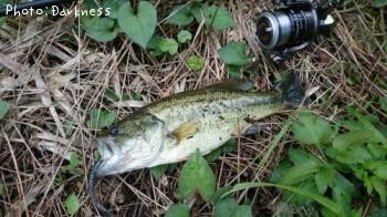 ¥Ö¥é¥Ã¥¯¥Ð¥¹