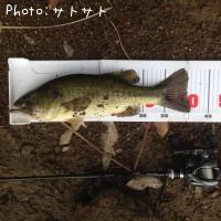 �֥�å��Х�