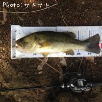 �֥�å��Х�