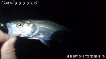 �����������Х�