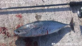 ���������ĥ�