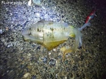 �����ꥤ��