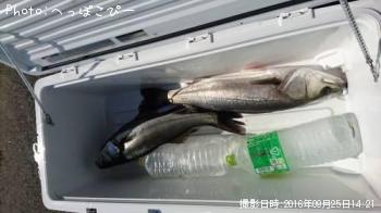 �����Х�