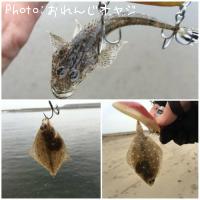 �ޥ����ȥ��쥤���յ�