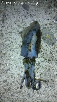 �����ꥤ��