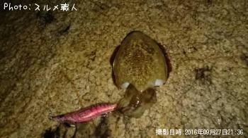 ��󥴥�����