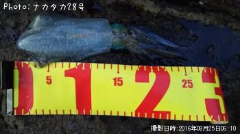 �����ꥤ��