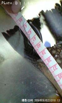 ¥Ö¥é¥¦¥ó¥È¥é¥¦¥È