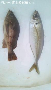 ��������Х�