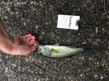 �֥�å��Х�