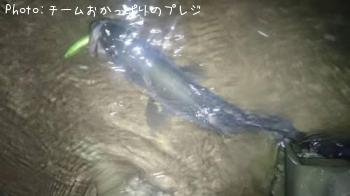 �����Х�