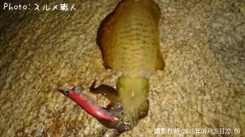 �����ꥤ��