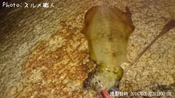 �����ꥤ��